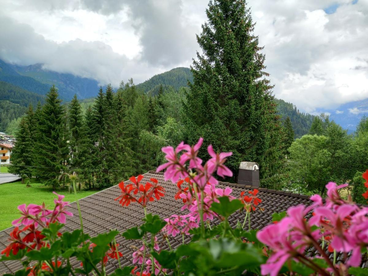 Albergo Scoiattolo Falcade Buitenkant foto